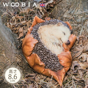 tςŐQ nlY~s sO~[wbWzbO (8.6cm)tk WOOBIA E[rA K[fjO  u nlY~ k  K[fG  K[fjOG 킢 i`  