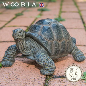 OJs ]EK (9.5cm)tk WOOBIA E[rA K[fjO u  T J k  K[fG  K[fjOG 킢 i`   O IuWF CMX