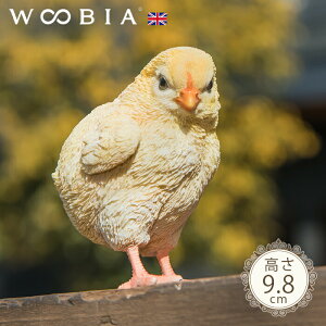 ĉEЂ悱s `bNi9.8cmjtk WOOBIA E[rA K[fjO u   u   K[f I[ig CMX O O IuWF K[fjOG K[fG