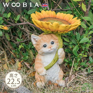 Ђ܂̎Pɂ񂱁s gi22.5cmjtk WOOBIA E[rA L lR ˂ qL eL  u u   K[f K[fjO I[ig O IuWF K[fG 
