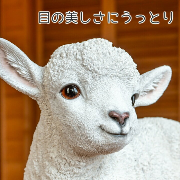 楽天市場】立ち上がった子羊《 ホワイト（28.5cm）》〔 WOOBIA 