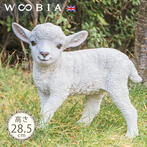 オqrs zCgi28.5cmjtk WOOBIA E[rA K[fjO u  r  Ђ qcW V[v  u u   K[f I[ig O O IuWF K[f