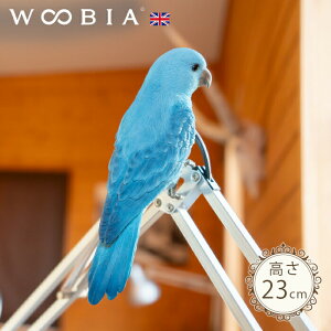 ɗ܂s IEi23cmjtk WOOBIA E[rA K[fjO u  IE NIE CR  u u   K[f I[ig O O IuWF K[fj