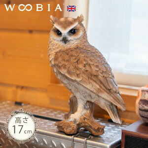 ؂芔ɗ܂tNEs i17cmjtk WOOBIA E[rA K[fjO u ӂ낤 x_  k  K[fG  K[fjOG 킢 tNE  i` 