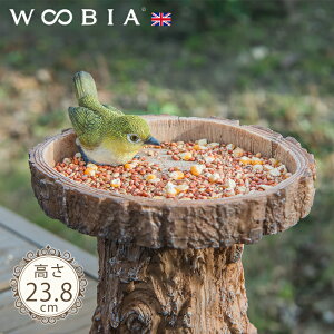 ̉aX^hsWi23.8cmjtk WOOBIA E[rA ؂芔  u  a GT aM GT M  K[f K[fjO I[ig CMX O O IuWF K[fjOG