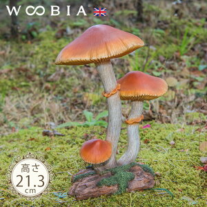 3ALmRs qAWKTi21.3cmjtk WOOBIA E[rA K[fjO u LmR ̂  }bV[  u u   K[f K[fjO I[ig O Iu