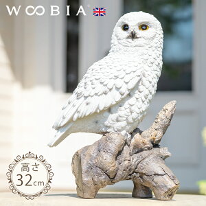 ؂ɗ܂VtNEsi32cmjtk WOOBIA E[rA K[fjO u  ӂ낤 悯 Q΍ k  K[fG  K[fjOG 킢 tNE   