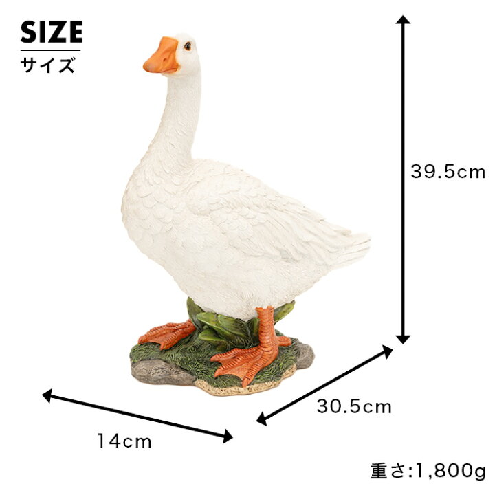 楽天市場】立って前向くガチョウ《鵞鳥（39.5cm）》〔 ガーデニング 