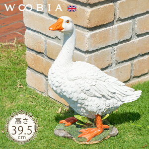 đOK`EsAi39.5cmjtk WOOBIA E[rA K[fjO u   u   K[f I[ig CMX O O IuWF K[fjOG K[fG