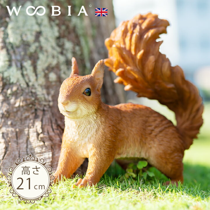 楽天市場】何かを見つけたリス《 キタリス（21cm）》〔 WOOBIA 