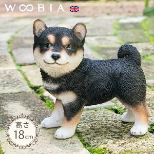 q̂񂱁s Č 18cmtk WOOBIA E[rA K[fjO Č   Ck dog u  k  K[fG  K[fjOG 킢 i`   