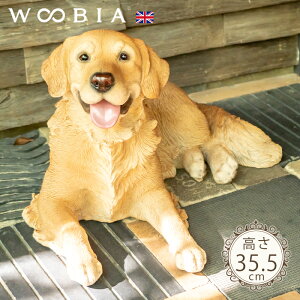 ɂȂď΂Ă񂱁s S[fgo[ 35.5cmtk WOOBIA E[rA K[fjO   Ck u k  K[fG  K[fjOG 킢 i`  