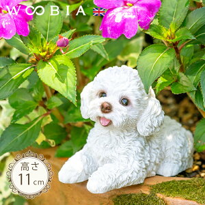 Čグ񂱁s gCv[h  11cmtk WOOBIA E[rA K[fjO   Ck v[h eB[Jbvv[h zCg u ^ k  K[fG  K[