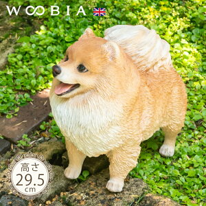 オĊԂ񂱁s |jA 29.5cmtk WOOBIA E[rA K[fjO   Ck | u ^ k  K[fG  K[fjOG 킢   i`