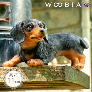 Vłq̂񂱁s _bNXth 11cmtk WOOBIA E[rA K[fjO   Ck ~j`A _bNXth ~j`A_bNX u ^ q  K[fG  