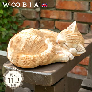 C悭ɂ񂱁s gL 11.3cmtk WOOBIA E[rA K[fjO L ˂ lR Ƃ g u A qL eL  K[fG  K[fjOG 킢 