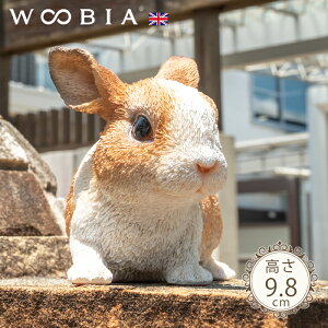 OĂ邤s I_h[t 9.8cmtk WOOBIA E[rA K[fjO  ETM ~jETM e u A i`  K[fG  K[fjOG 킢