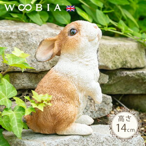 s I_h[t 14cmtk WOOBIA E[rA K[fjO  ETM ~jETM e h[t u A i`  K[fG  K[fjOG 