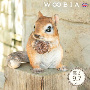 ڂ郊Xs V}X 9.7cmtk WOOBIA E[rA K[fjO X 肷 V}X Squirrel u A   K[fG  K[fjOG 킢  J