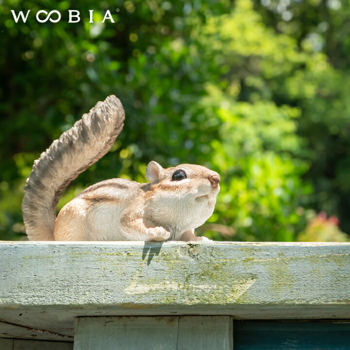 何かに気づいたリス シマリス 11 7cm WOOBIA ウービア ガーデニング リス りす シマリス Squirrel 置物 リアル 小動物 おしゃれ ガーデン雑貨 動物 ガーデニング雑貨 かわいい 可愛い カワイイ 庭 玄関 屋外 オブジェ エクステリア インテリア
