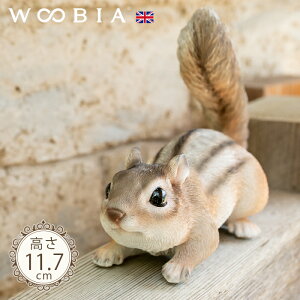 ɋCÂXs V}X 11.7cmtk WOOBIA E[rA K[fjO X 肷 V}X Squirrel u A   K[fG  K[fjOG 킢  JC