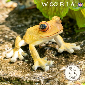 ځX킢JGs LCA}KG 5.5cmtk WOOBIA E[rA K[fjO JG  ^ tbO u A ঒   K[fG  K[fjOG 