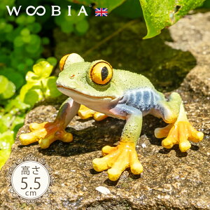ځX킢JGs AJA}KG 5.5cmtk WOOBIA E[rA K[fjO JG  ^  u A ঒   K[fG  K[fjOG 킢