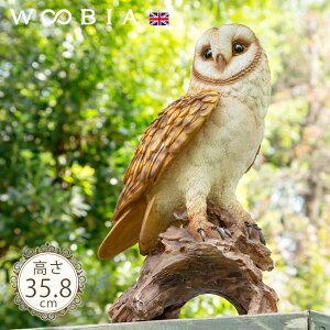 ؂ɗ܂郁tNEs ʞ 35.8cmtk WOOBIA E[rA K[fjO tNE tNE ӂ낤  IE  ̒u u A  K[fG  K[fjOG 