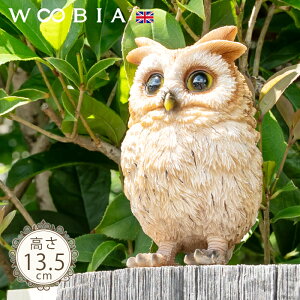 傱ƗtNE̎qs gtYN 13.5cmtk WOOBIA E[rA K[fjO tNE ӂ낤  IE  ̒u u A  K[fG  K[fjOG 