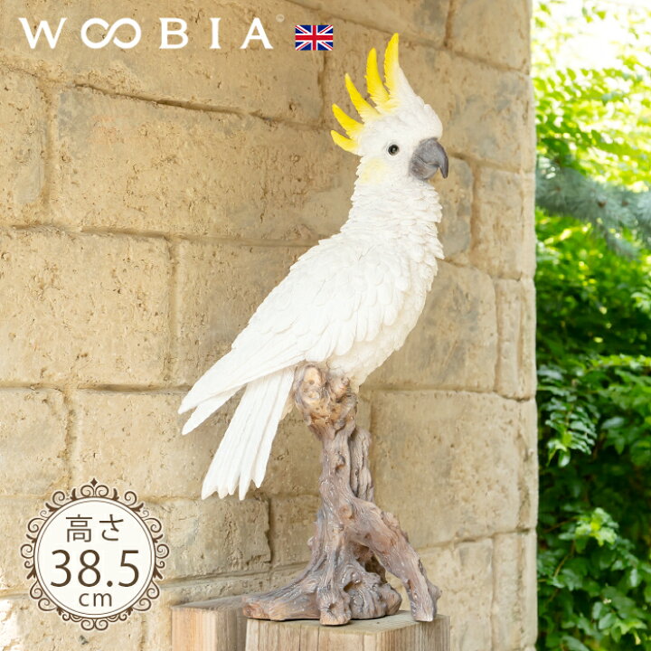 楽天市場】素敵なトサカのオウム《 キバタン 38.5cm》〔 WOOBIA 