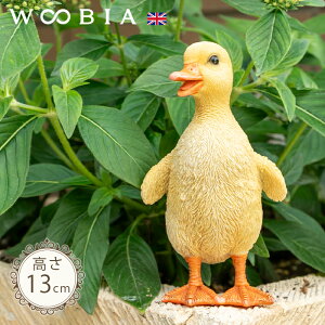 オAq̎qs VAq 13cmtk WOOBIA E[rA K[fjO Aq Ђ _bN Aq̎q  Ђ  q u A  K[fG  K[fjOG 
