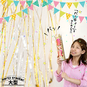 p[eB[ NbJ[ ^ z UE^NbJ[ S[h Vo[ ~bNXs1{tk  傫 ɑ p[eB[ObY o[Xf[ a EGfBO uC_ 