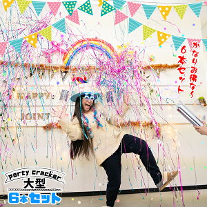 s6{Zbgtp[eB[ NbJ[ ^ zXyViS2Fjk  傫 ɑ p[eB[NbJ[ p[eB[ObY o[Xf[ a EGfBO uC_  