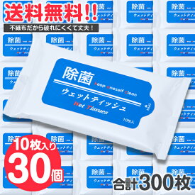 《30個セット》 除菌 アルコール ウェットティッシュ　合計300枚入り 【 ウエットティッシュ アルコールティッシュ ふた 携帯用 除菌シート 携帯 持ち運び 小型 小さい ポケット サイズ まとめ売り まとめ買い 業務用 国産 日本製 旅行 ウイルス対策 送料無料 】