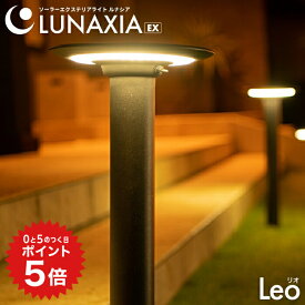 ポイント5倍 ソーラーライト 屋外 防水 長時間 ガーデンライト Leo（リオ）【2年保証】〔 ソーラー ポール ライト ポール型 LED 照明 明るい 電球色 白 ホワイト 調光 庭 ソーラー 充電 ガーデニング 〕