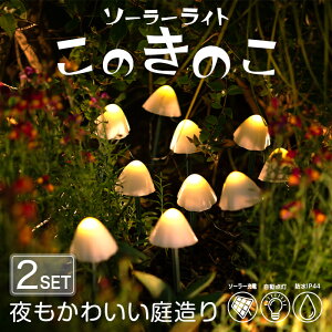 s2Zbgt ̂̂ K[fCg \[[ ̂ yۏ120z k \[[Cg LmR Cg fR[V Ɩ 킢  JCC  IV   