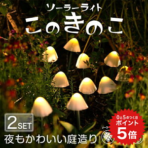 |Cg5{ s2Zbgt ̂̂ K[fCg \[[ ̂ yۏ120z k \[[Cg LmR Cg fR[V Ɩ 킢  JCC  IV 