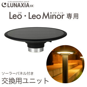 �����p���C�g���j�b�g �\�[���[���C�g Leo�i���I�jLeo Minor�i���I�~�m���j�k ��p�p�[�c ���O �h�� �K�[�f�����C�g �\�[���[ �|�[�� ���C�g �|�[���^ ������� LED �Ɩ� ���邢 �d���F �� �z��