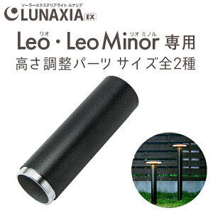 �\�[���[���C�g Leo�i���I�jLeo Minor�i���I�~�m���j���������p�[�c�k ��p�p�[�c ���O �h�� �K�[�f�����C�g �\�[���[ �|�[�� ���C�g �|�[���^ ������� LED �Ɩ� ���邢 �d���F �� �z���C�g ��