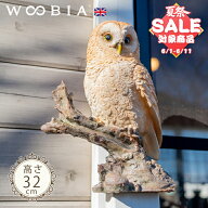 【スーパーセール 最大12%OFF 】木に留まるフクロウ《 茶梟 (32cm)》〔 WOOBIA ウービア ガーデニング 置…