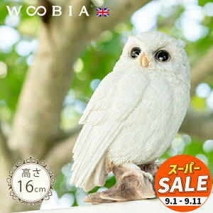 yX[p[Z[ 10%OFF z}ɗ܂V~~YN̎qsؓpi16cmjtk WOOBIA E[rA K[fjO u  ӂ낤 ΍ JX΍ k  K[fG  G 