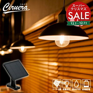 yX[p[Z[ ő10%OFF zy]4.75z\[[Cg CIRUERAiVGjyۏ180zk \[[Cg O ݂艺 V y_gCg k K[fCg AeB[N