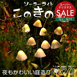 yX[p[Z[ ő11%OFF ẑ̂ K[fCg \[[ ̂ yۏ120zk \[[Cg LmR LmRCg ̂Cg fR[V Ɩ 킢  