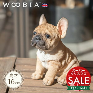 yX[p[Z[ ő10%OFF z傱ƍ񂱁s t`uhbO (16cm)tk WOOBIA E[rA K[fjO  u q k  K[fG  K[fjOG 킢