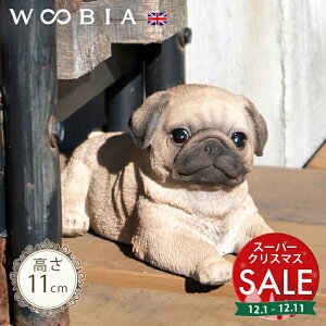 yX[p[Z[ ő10%OFF z񂱁s pO (11cm)tk WOOBIA E[rA K[fjO  u q k  K[fG  K[fjOG 킢  A i`