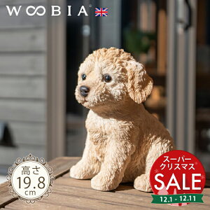 yX[p[Z[ ő10%OFF z傱ƍ񂱁se v[h (19.8cm)tk WOOBIA E[rA K[fjO  u q gCv[h  K[fG  K[fjOG 