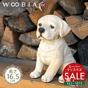 yX[p[Z[ ő10%OFF z傱ƍ񂱁s uh[ (16.5cm)tk WOOBIA E[rA K[fjO  u q k  K[fG  K[fjOG 킢 i`