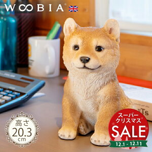 yX[p[Z[ ő10%OFF z傱ƍ񂱁s Č (20.3cm)tk WOOBIA E[rA K[fjO  u q k  K[fG  K[fjOG 킢  A