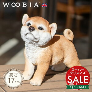 yX[p[Z[ ő10%OFF zグ񂱁s Hc (17cm)tk WOOBIA E[rA K[fjO  u q k  K[fG  K[fjOG 킢  A i`