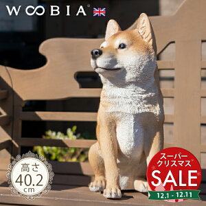 yX[p[Z[ ő10%OFF z傱ƍ񂱁s Č (40.2cm)tk WOOBIA E[rA K[fjO  u q k  K[fG  K[fjOG 킢  A